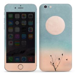 Foils for Smartphones glossy