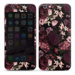 Foils for Smartphones glossy