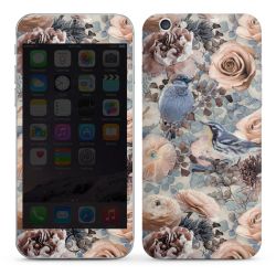 Foils for Smartphones glossy