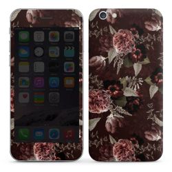 Foils for Smartphones glossy