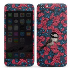 Foils for Smartphones glossy