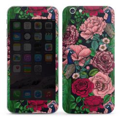 Foils for Smartphones glossy