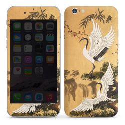 Foils for Smartphones glossy