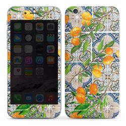 Foils for Smartphones glossy