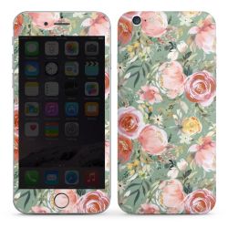 Foils for Smartphones glossy