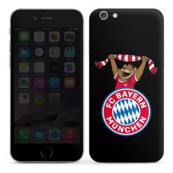 Foils for Smartphones glossy