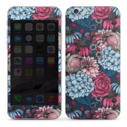 Foils for Smartphones glossy