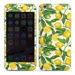 Foils for Smartphones glossy