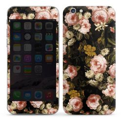 Foils for Smartphones glossy