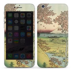 Foils for Smartphones glossy