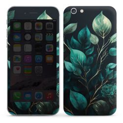 Eukalyptus dunkler Hintergrund