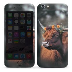 Foils for Smartphones glossy