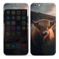 Foils for Smartphones glossy