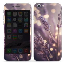 Foils for Smartphones glossy