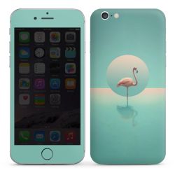 Foils for Smartphones glossy