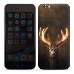 Foils for Smartphones glossy