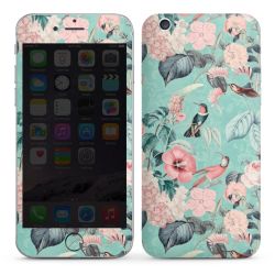 Foils for Smartphones glossy