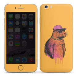 Foils for Smartphones glossy