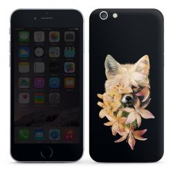 Foils for Smartphones glossy