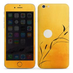 Foils for Smartphones glossy