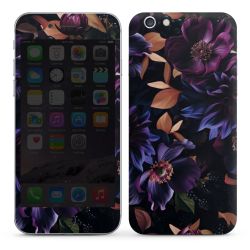 Foils for Smartphones glossy