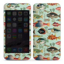 Foils for Smartphones glossy