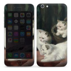 Foils for Smartphones glossy