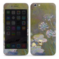 Foils for Smartphones matt