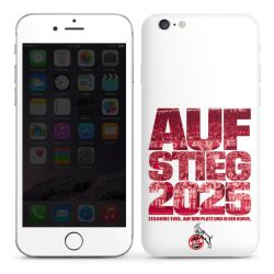 Folien für Smartphones matt