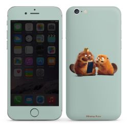 Folien für Smartphones matt