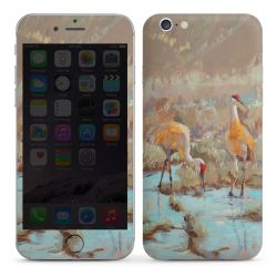 Foils for Smartphones matt