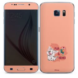 Foils for Smartphones matt