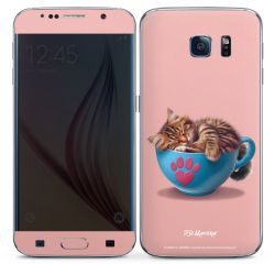 Foils for Smartphones matt