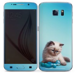 Foils for Smartphones matt