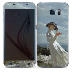 Foils for Smartphones matt