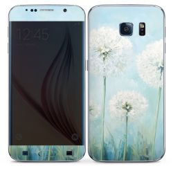 Foils for Smartphones matt