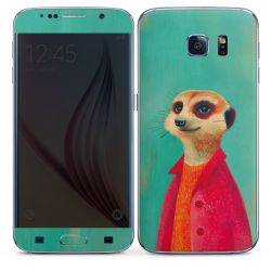 Foils for Smartphones matt