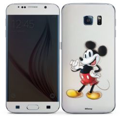 Foils for Smartphones matt