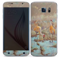 Foils for Smartphones matt