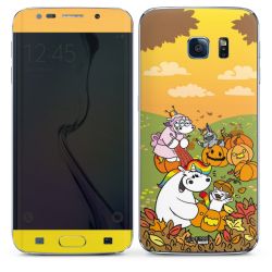 Folien für Smartphones matt