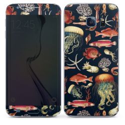 Foils for Smartphones matt