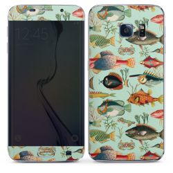 Foils for Smartphones matt