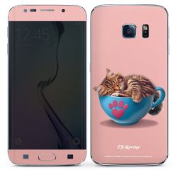 Foils for Smartphones matt