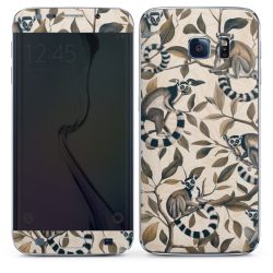 Foils for Smartphones matt