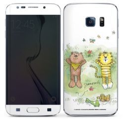 Foils for Smartphones matt