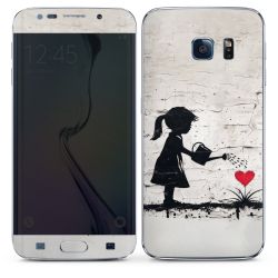 Foils for Smartphones matt