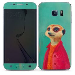 Foils for Smartphones matt