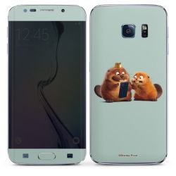 Foils for Smartphones matt