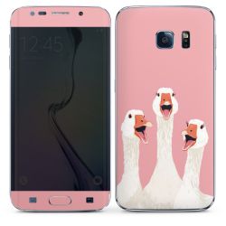 Foils for Smartphones matt