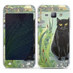 Foils for Smartphones matt